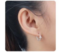 Silver Huggies Earring HO-1635